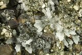 Quartz Crystals with Gleaming Pyrite and Sphalerite - Peru #276073-1